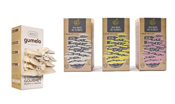 la-boite-a-champignons_gallerie