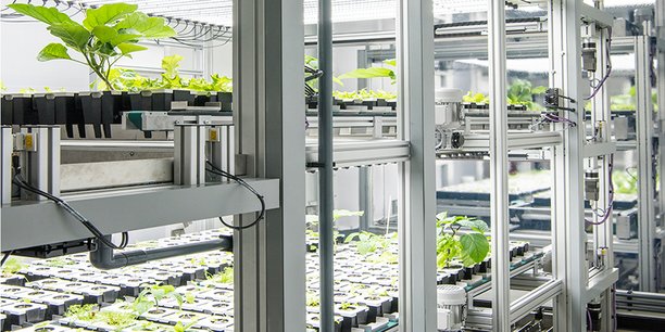 FOODTECH_innovation_3