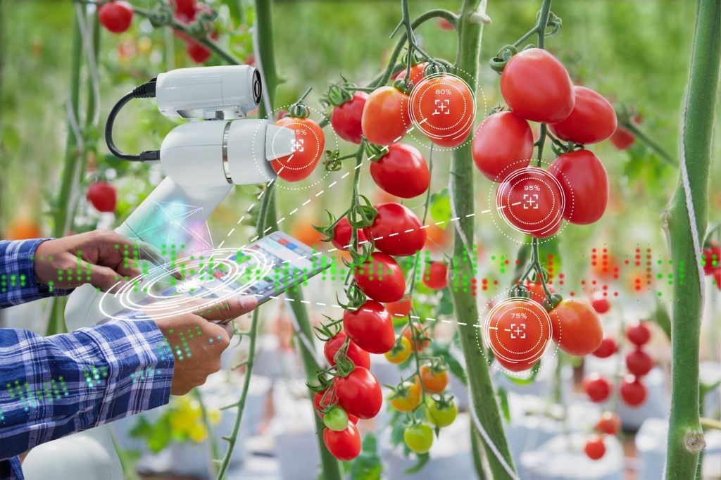 FOODTECH_innovation_1