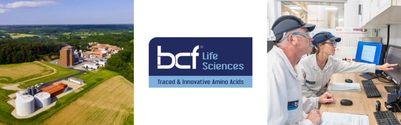 Visibilité sur le web BCF Life Sciences - Pepswork