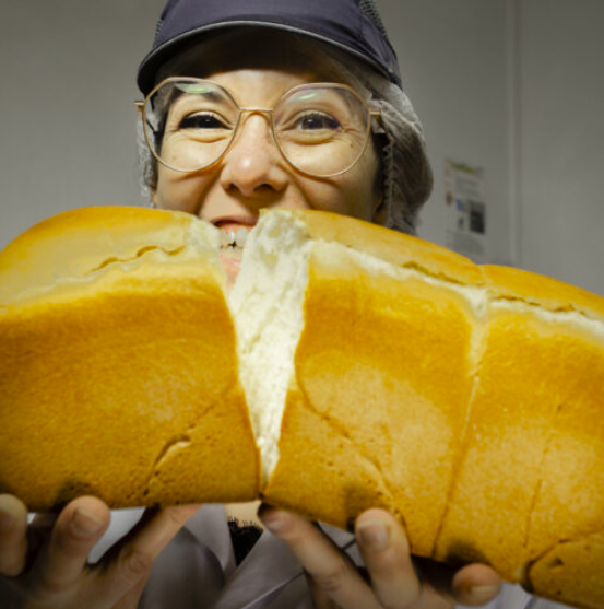 Jacquet brossard brioche