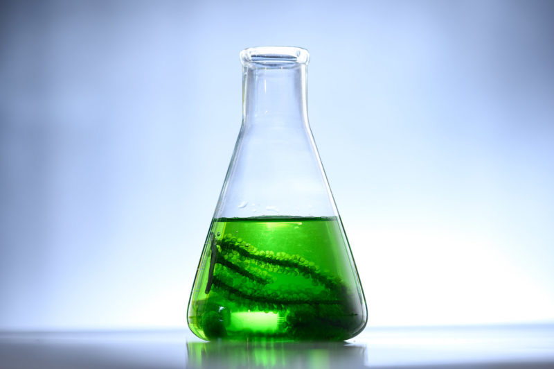science laboratoire blu eat
