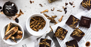 Marché des protéines d'insectes
