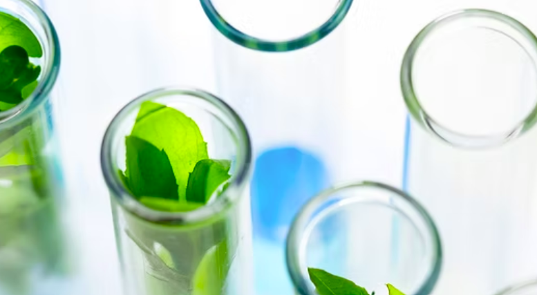 OO CONSEIL cas client