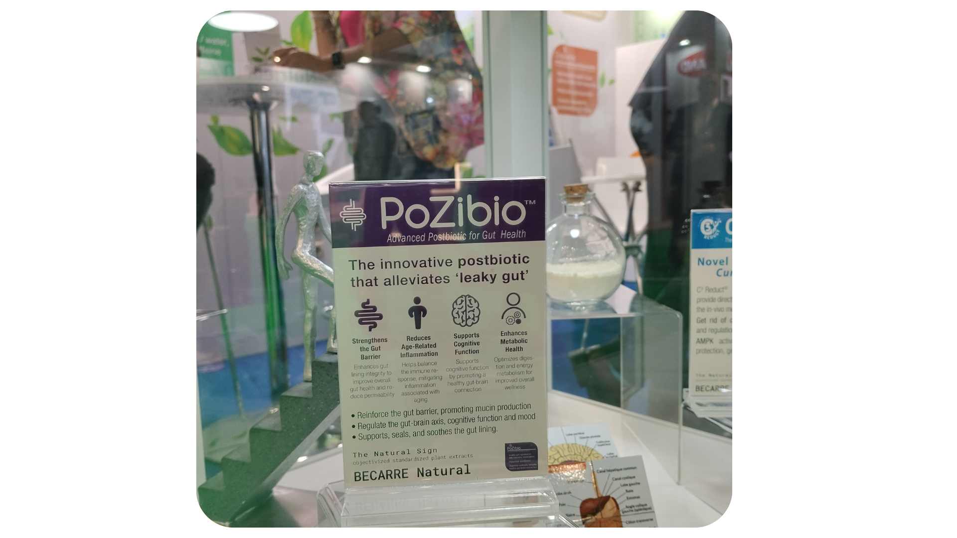 Prozibio